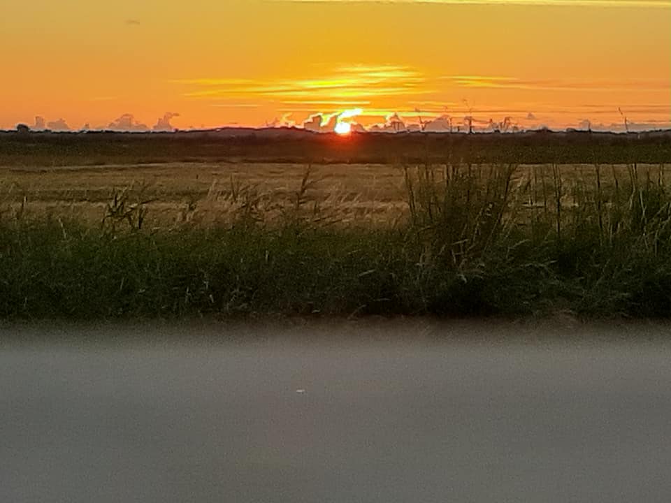 Guinguette avec vue sur coucher de soleil